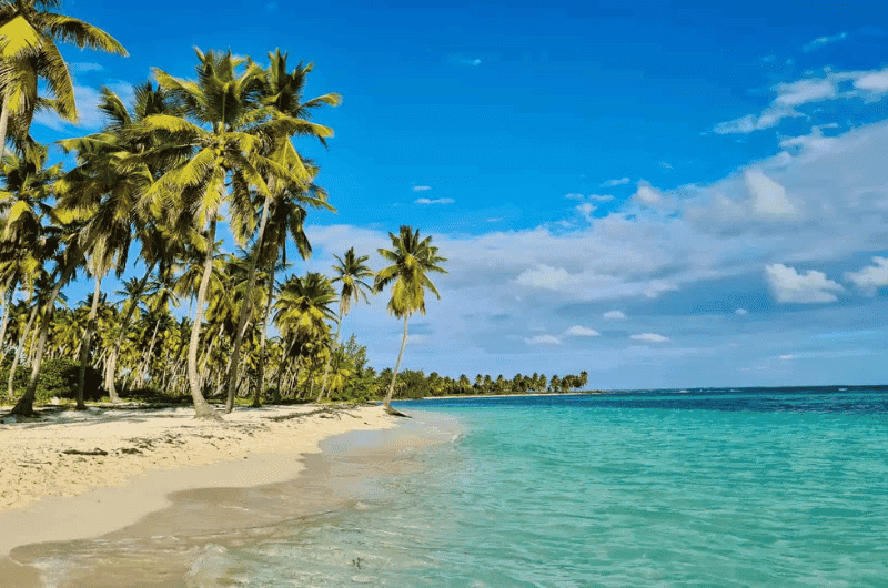 Platinum Transfer Punta Cana - Imagen 1