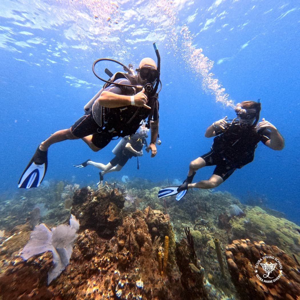 Ultra Marine Divers - Imagen 2