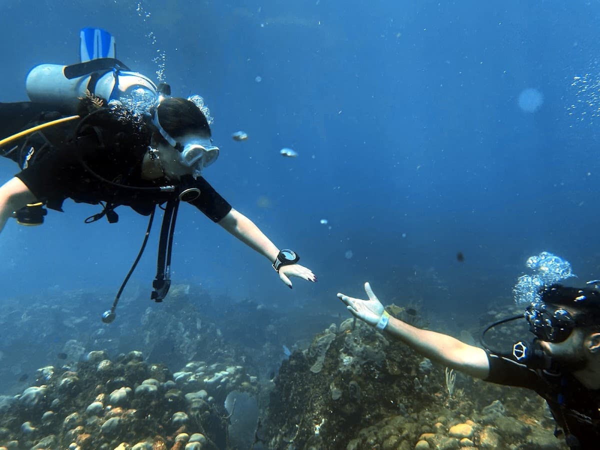 Ultra Marine Divers - Imagen 3
