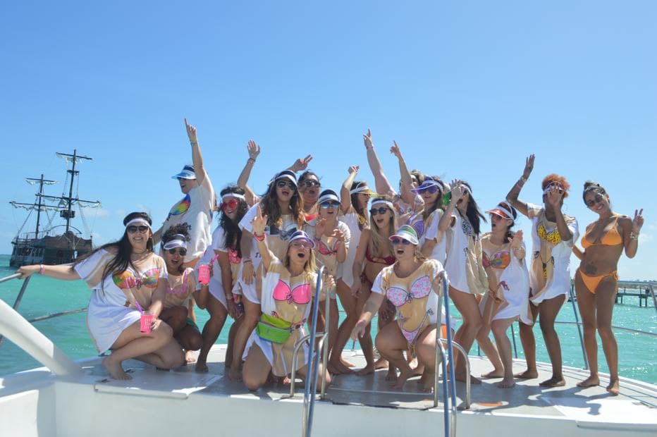 Pink cat punta cana - Imagen 2