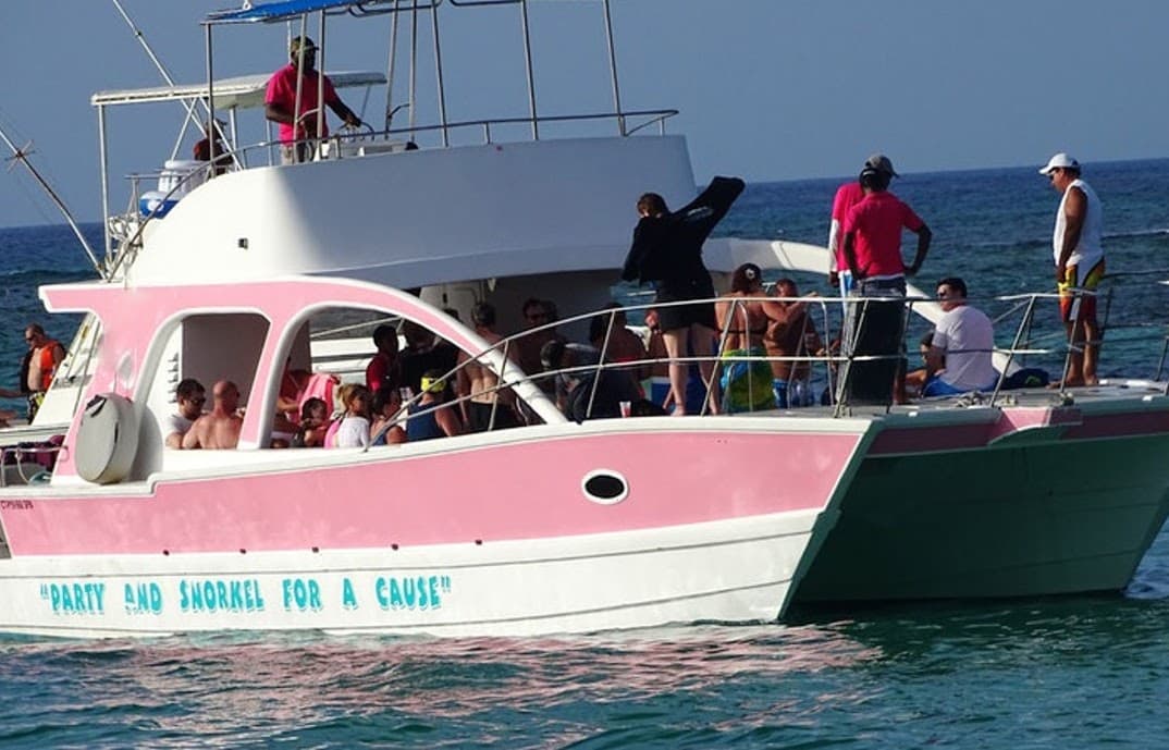 Pink cat punta cana - Imagen 3