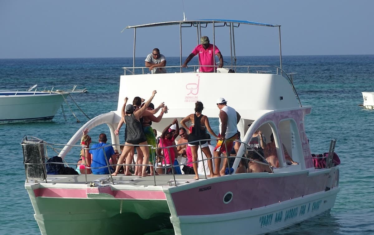 Pink cat punta cana - Imagen 1