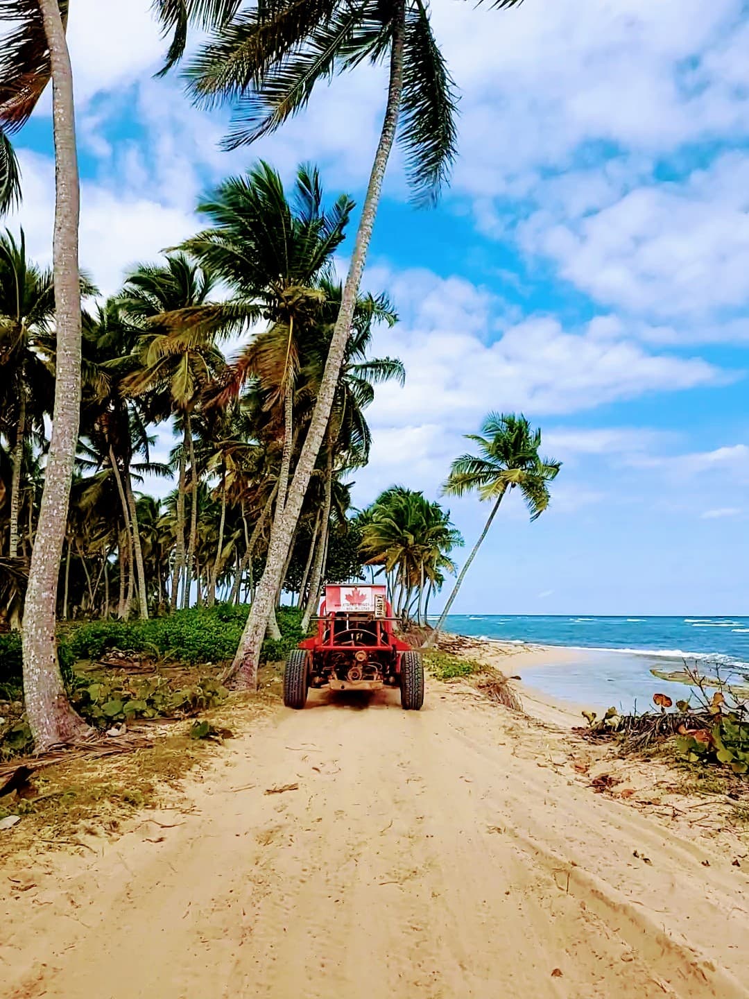 Xtreme-Buggy - Imagen 3