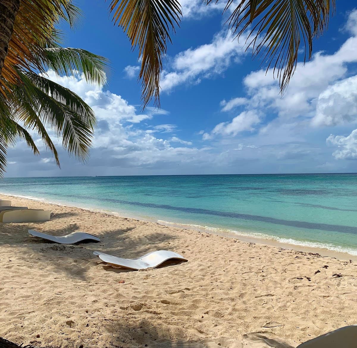 Punta Cana Tours - Imagen 3