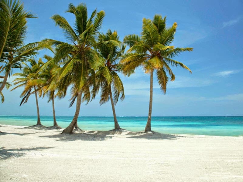 Punta Cana Tours - Imagen 1