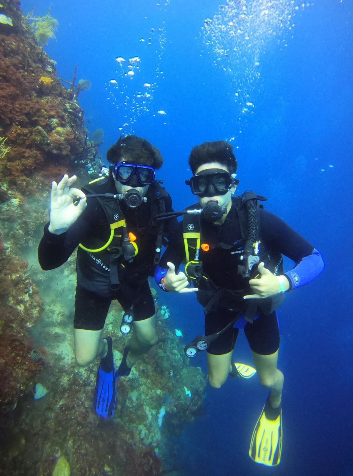 Art of Diving - Scuba diving in Punta Cana - Imagen 2