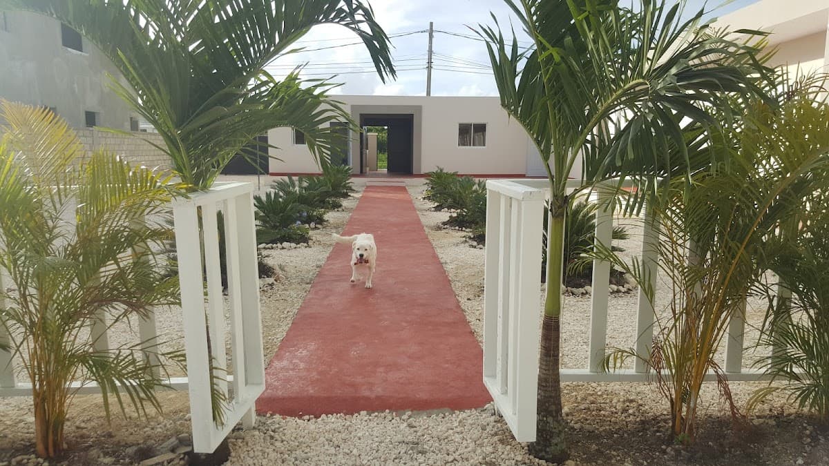 Tia Sandra School - Imagen 3