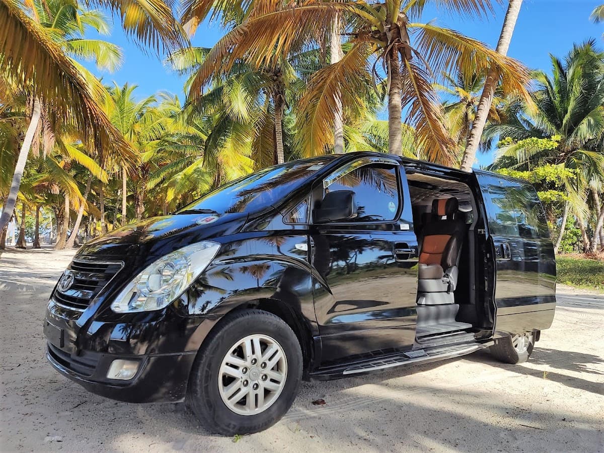 OSCAR TRANSFERS - Your Driver at Punta Cana - Imagen 2