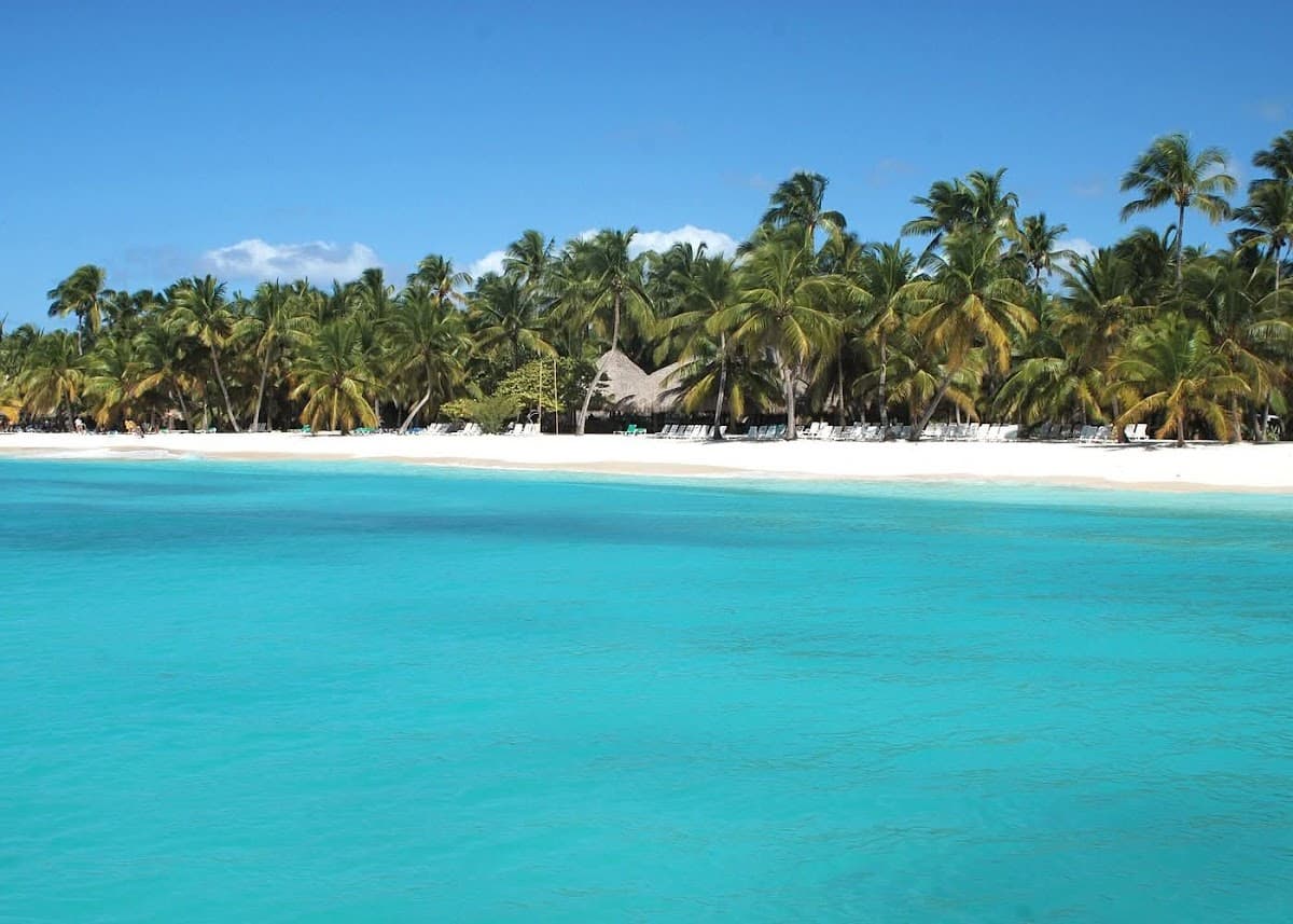 Punta Cana Tours VIP | Excursiones y Traslados - Imagen 1