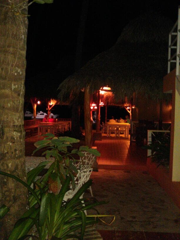 Restaurant Palmas Sand - Imagen 2