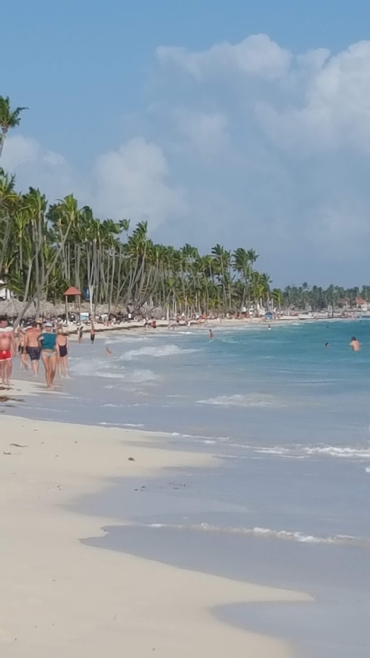 Punta Cana Now - Imagen 3