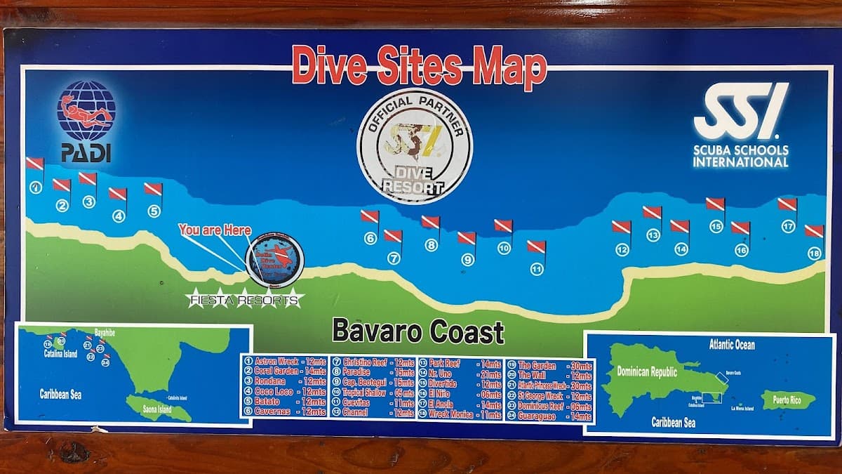 Dolin Dive Center - Imagen 2