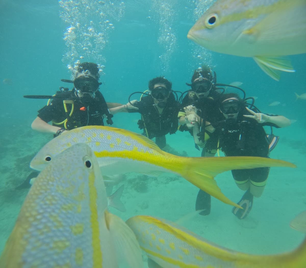 Dolin Dive Center - Imagen 3