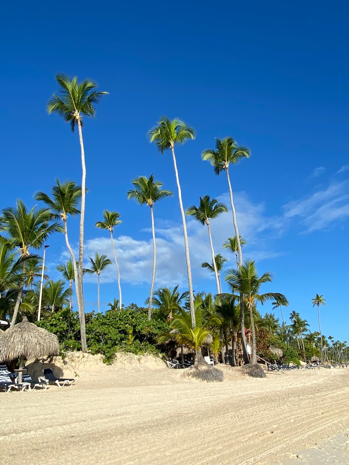 Beach Activities/rentals - Imagen 1