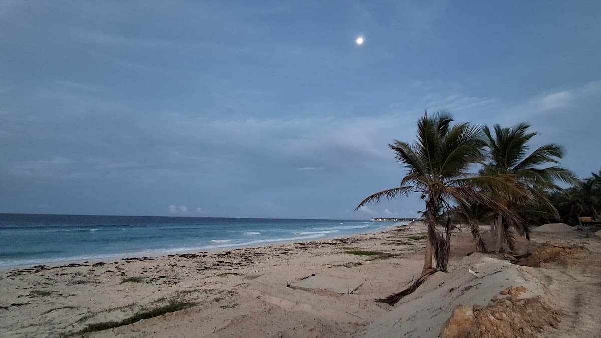 Antique Genesis Beach - Imagen 2