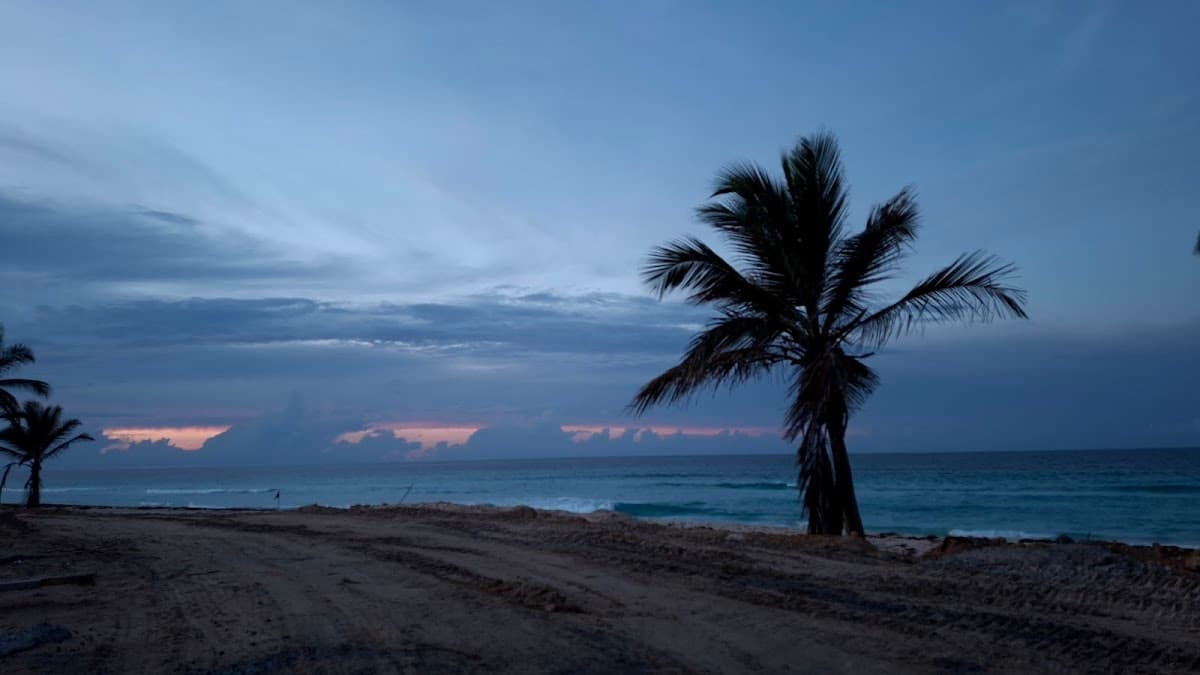 Antique Genesis Beach - Imagen 3