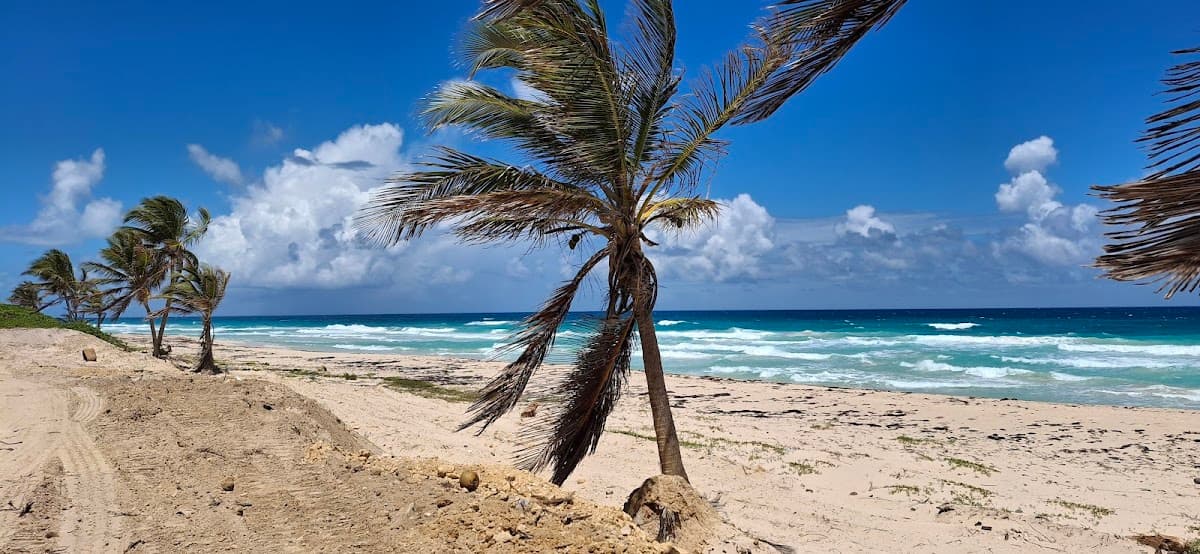Antique Genesis Beach - Imagen 1