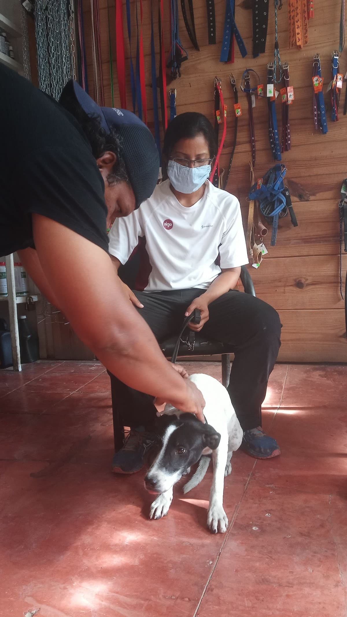 Veterinaria Los Amigos - Imagen 3