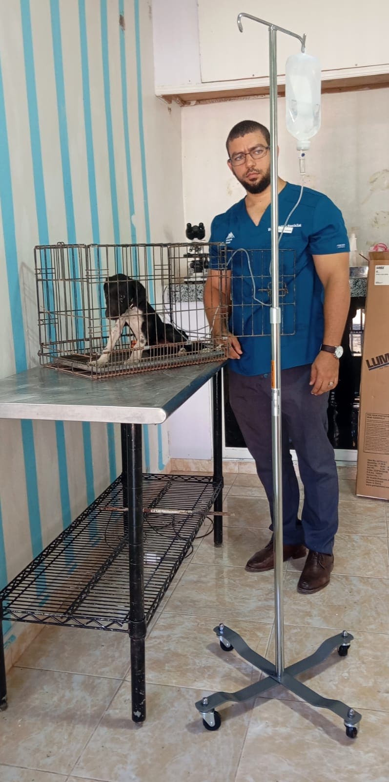 ARFEL VETERINARIA - Imagen 2