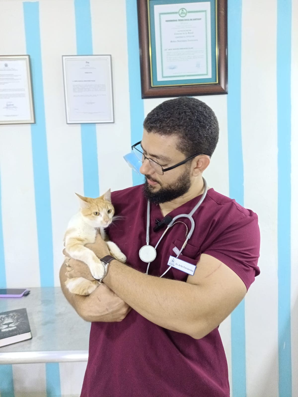 ARFEL VETERINARIA - Imagen 3