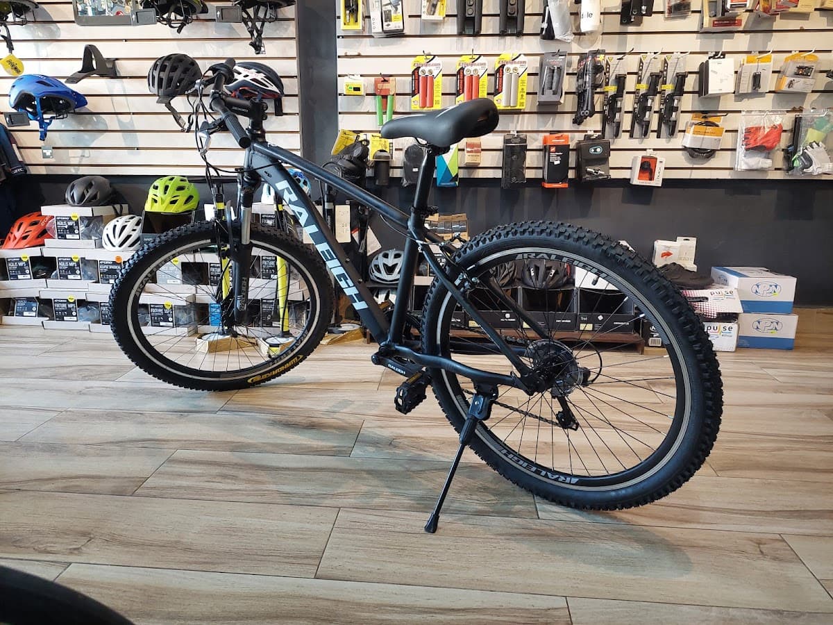 World Bike - Imagen 2