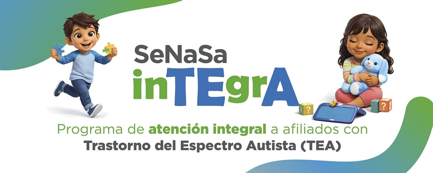 SeNaSa - Imagen 1