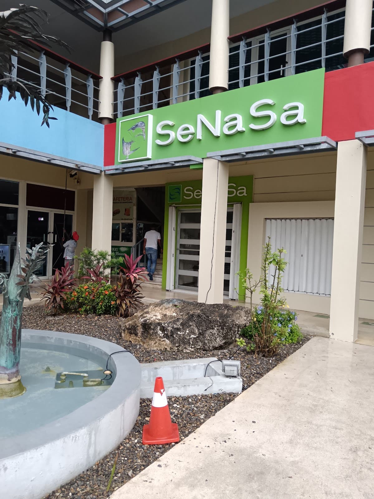SeNaSa - Imagen 1