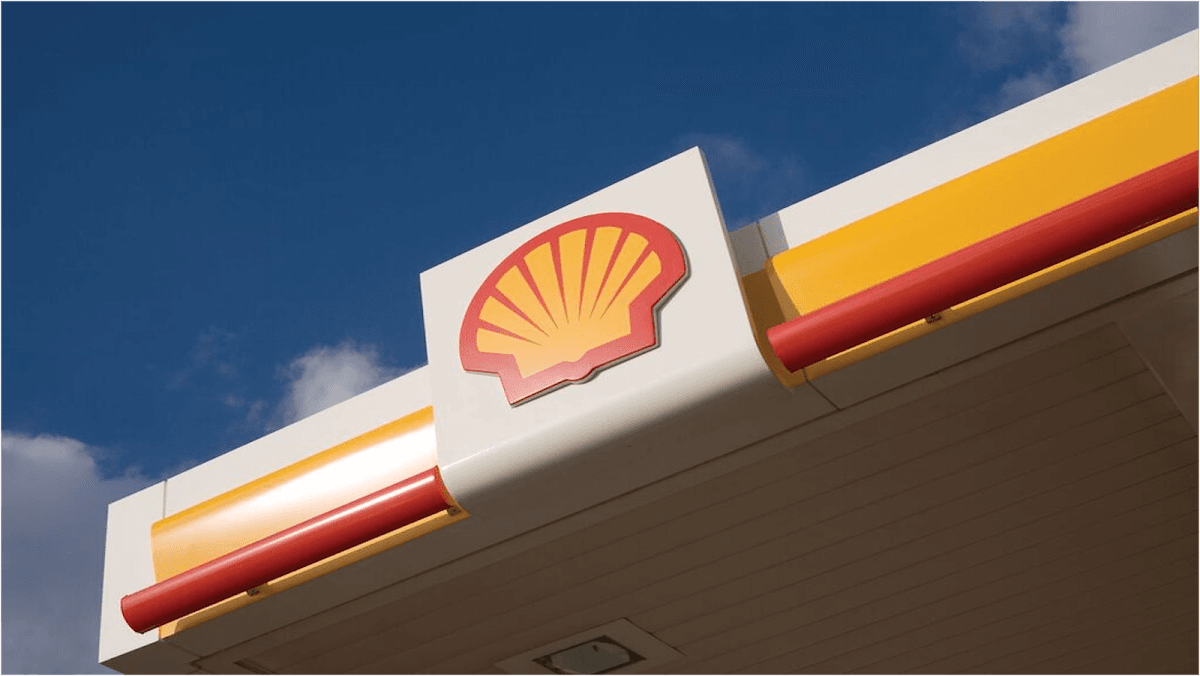 Shell - Imagen 1