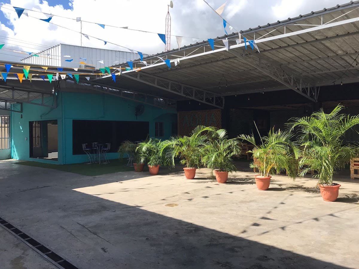 Terra Luxe Auto Care. - Imagen 1