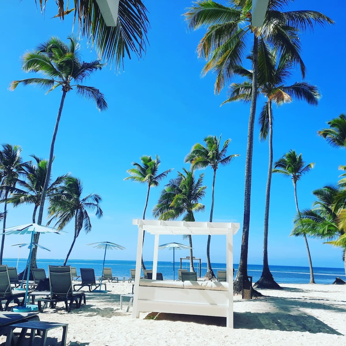 Inmocaribe Real Estate Bavaro - Imagen 2