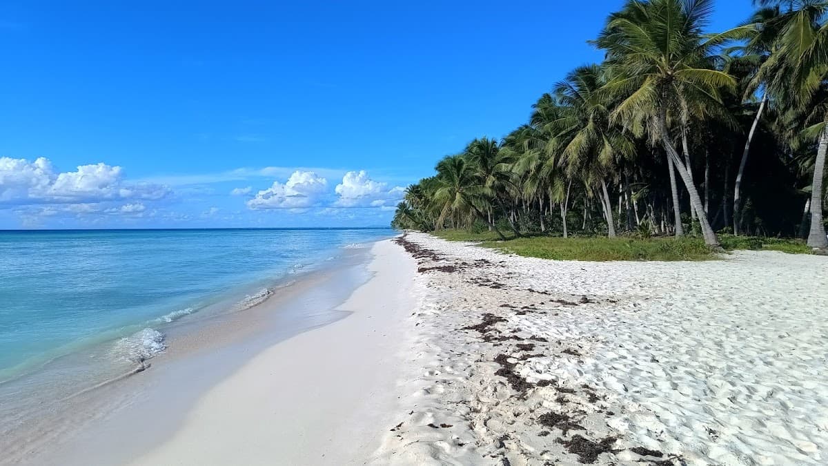 Turissimo Caribe Excursiones - Imagen 2