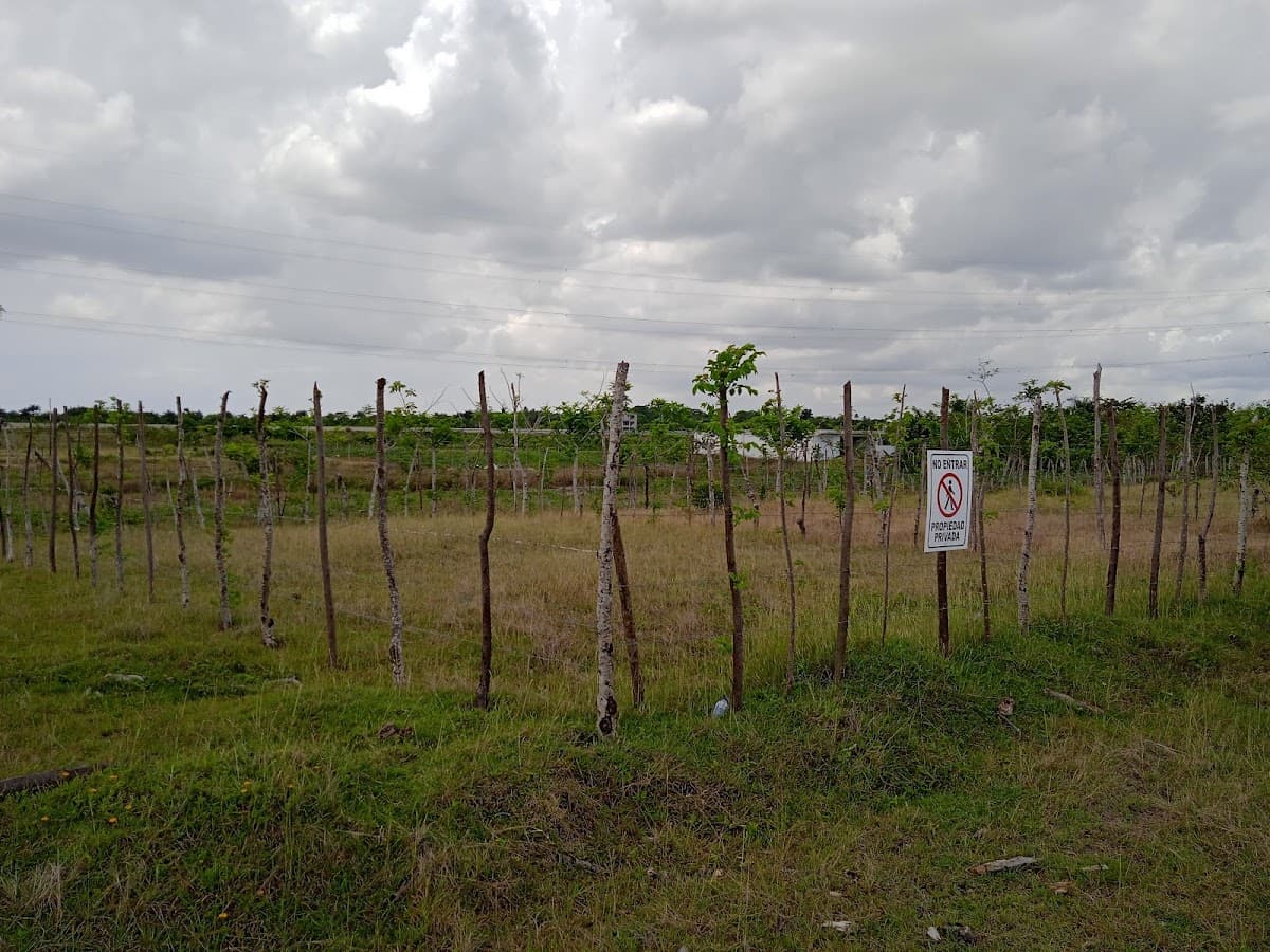 Agromarva - Imagen 1