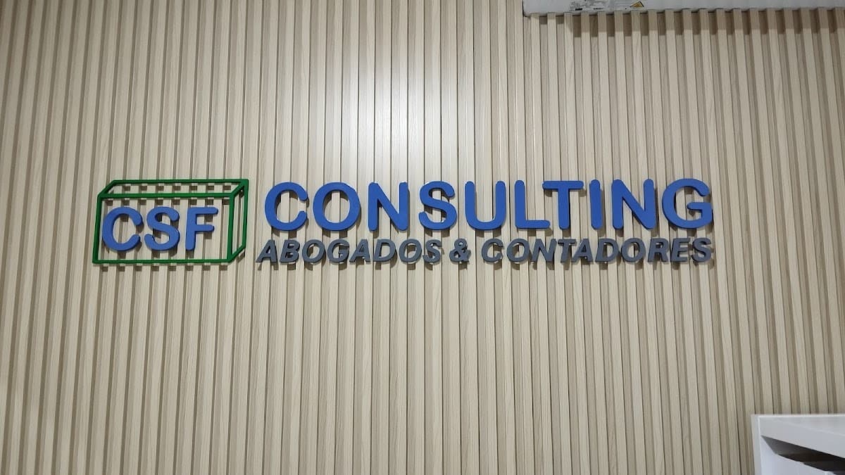 CSF CONSULTING RD - Imagen 1