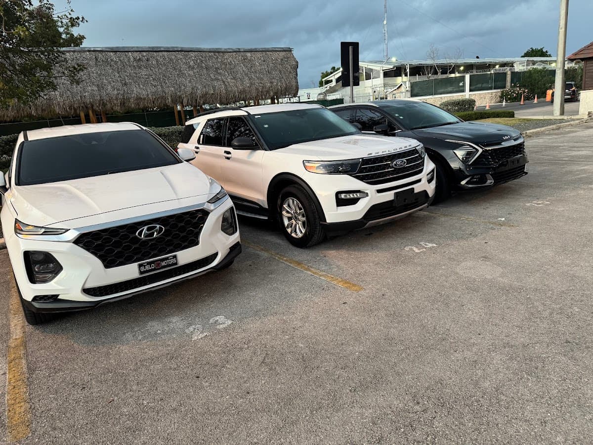Soler Rent car punta cana - Imagen 2