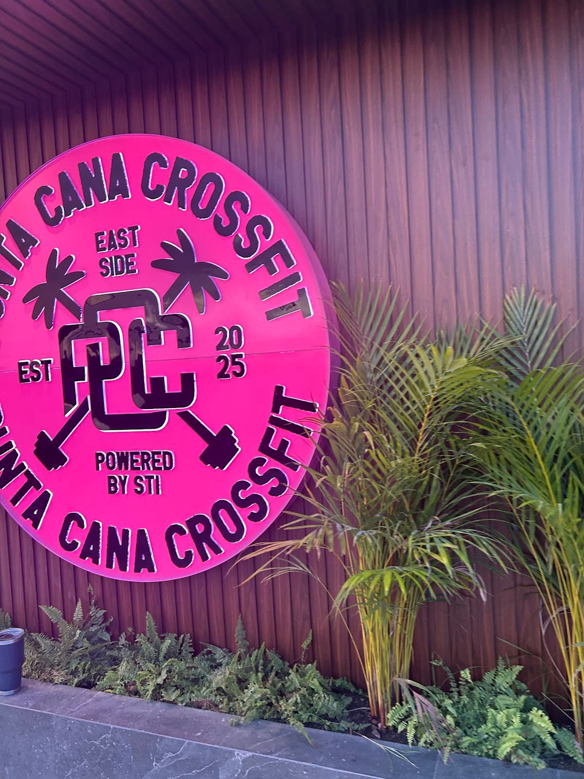 Punta Cana Crossfit - Imagen 2