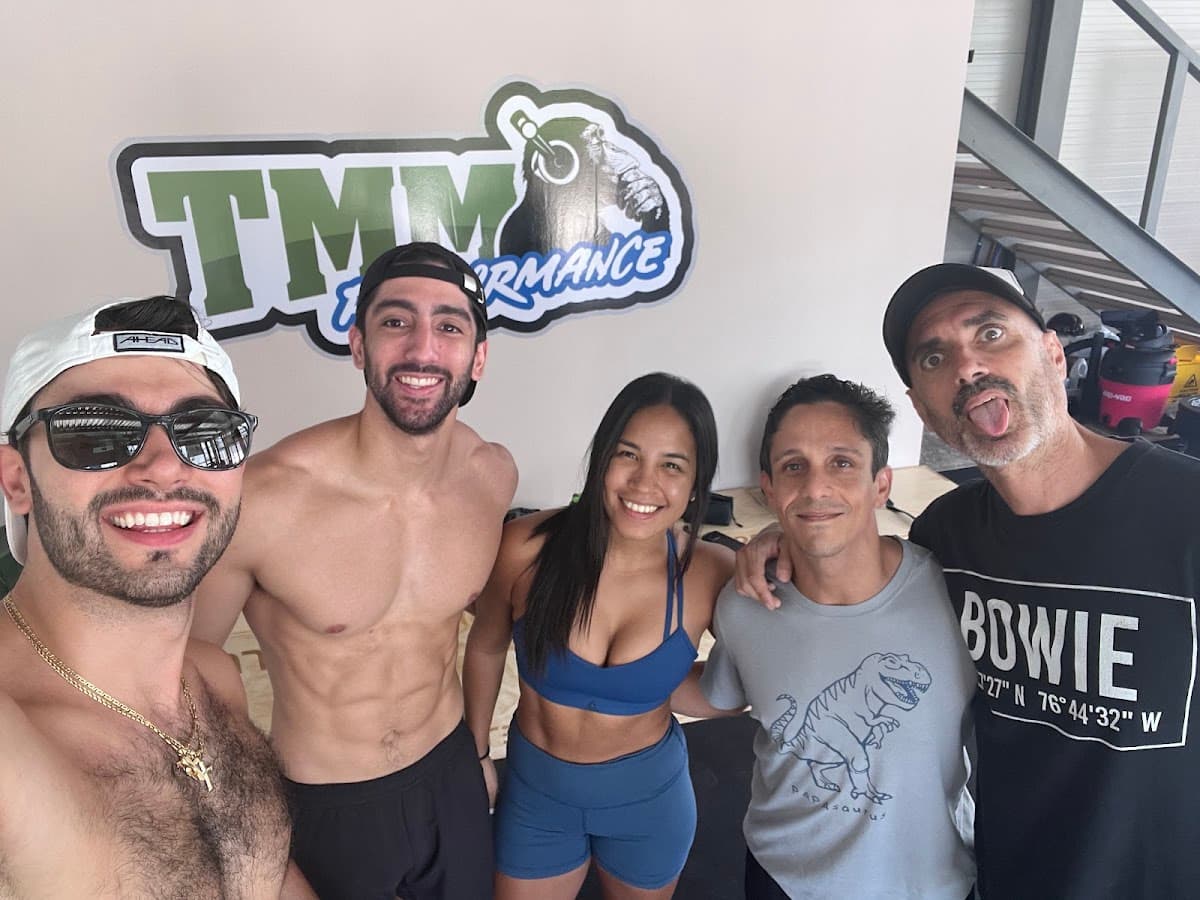 TMM Performance - Imagen 2