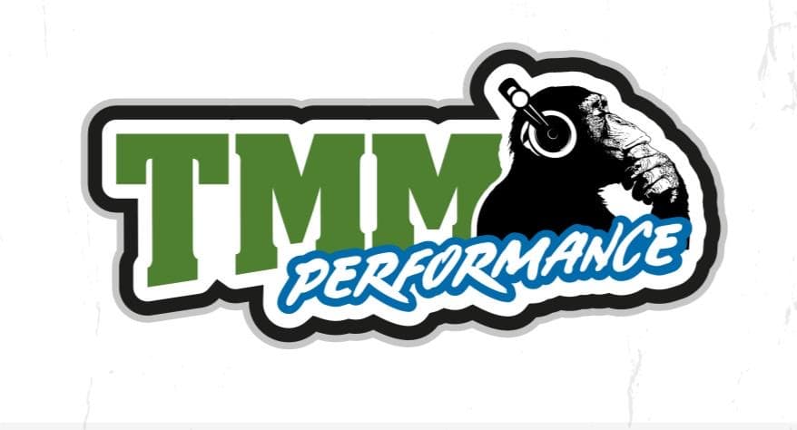 TMM Performance - Imagen 3
