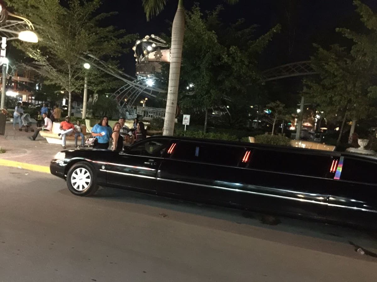 Punta Cana Destino Airport Transfer VIP - Imagen 3