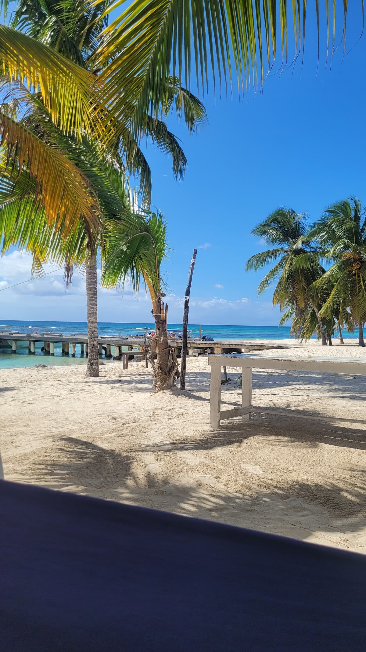 CARIBBEAN DESTINY RD - Imagen 1