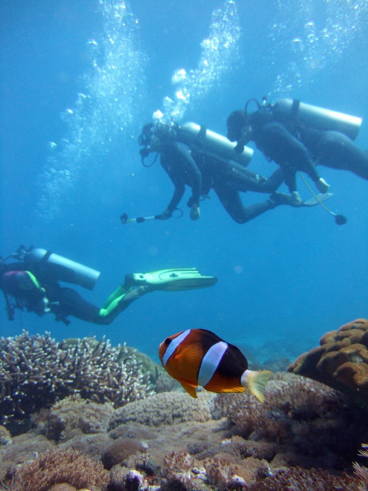 Scuba Diving Punta Cana - Imagen 2