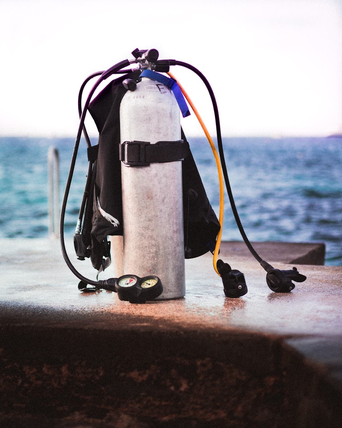 Scuba Diving Punta Cana - Imagen 3