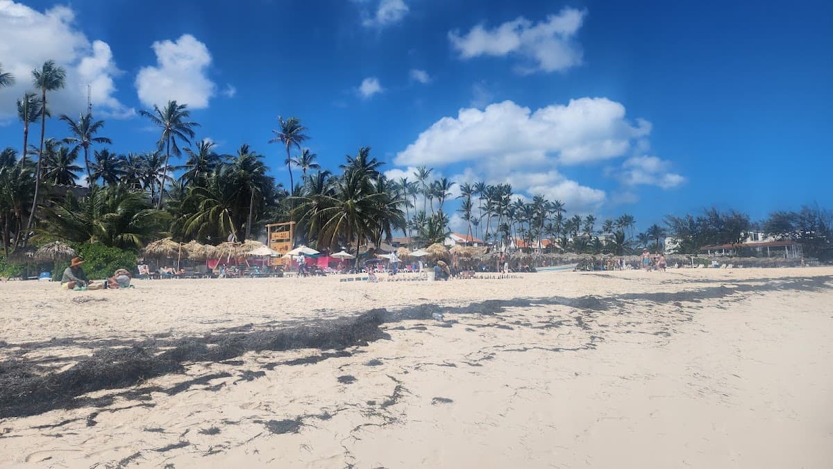 Artesanos en playa Pública - Imagen 2