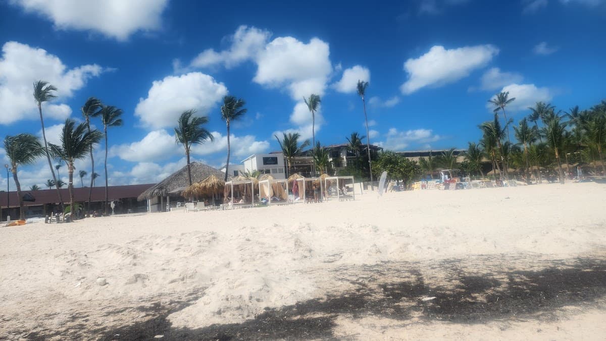 Artesanos en playa Pública - Imagen 1