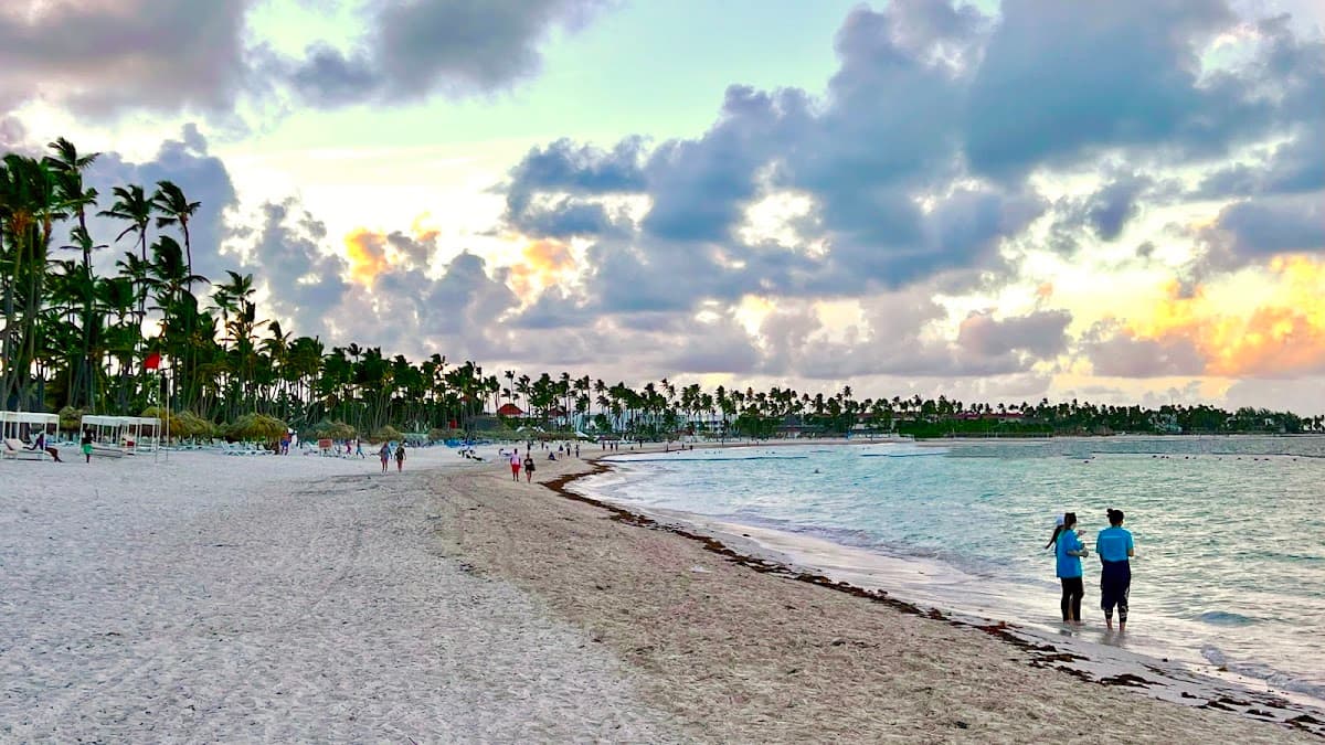 Ocean Discovery Punta Cana - Imagen 2