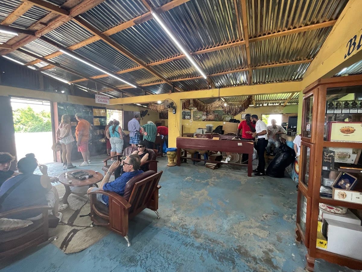 Cigar Factory Pepino - Imagen 2