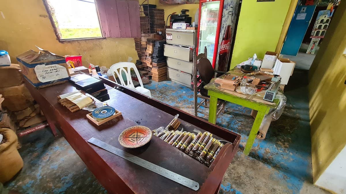 Cigar Factory Pepino - Imagen 3