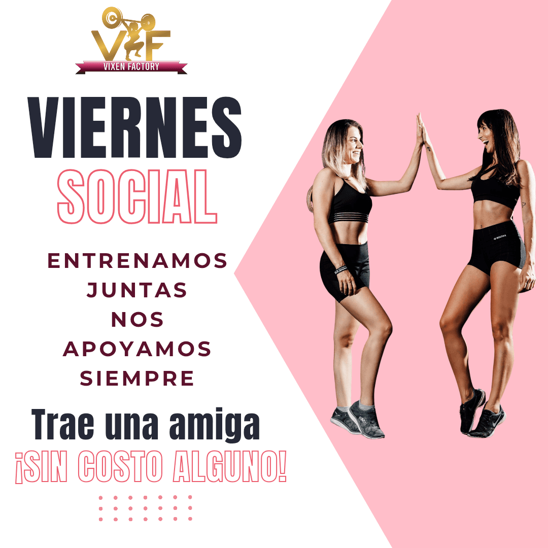 Vixen Factory - Imagen 3