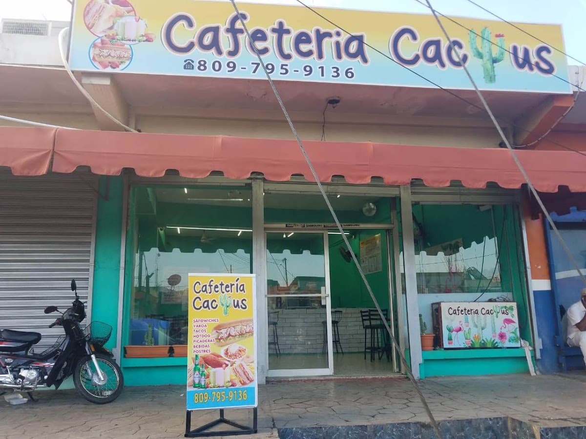 Cafeteria cactus - Imagen 3