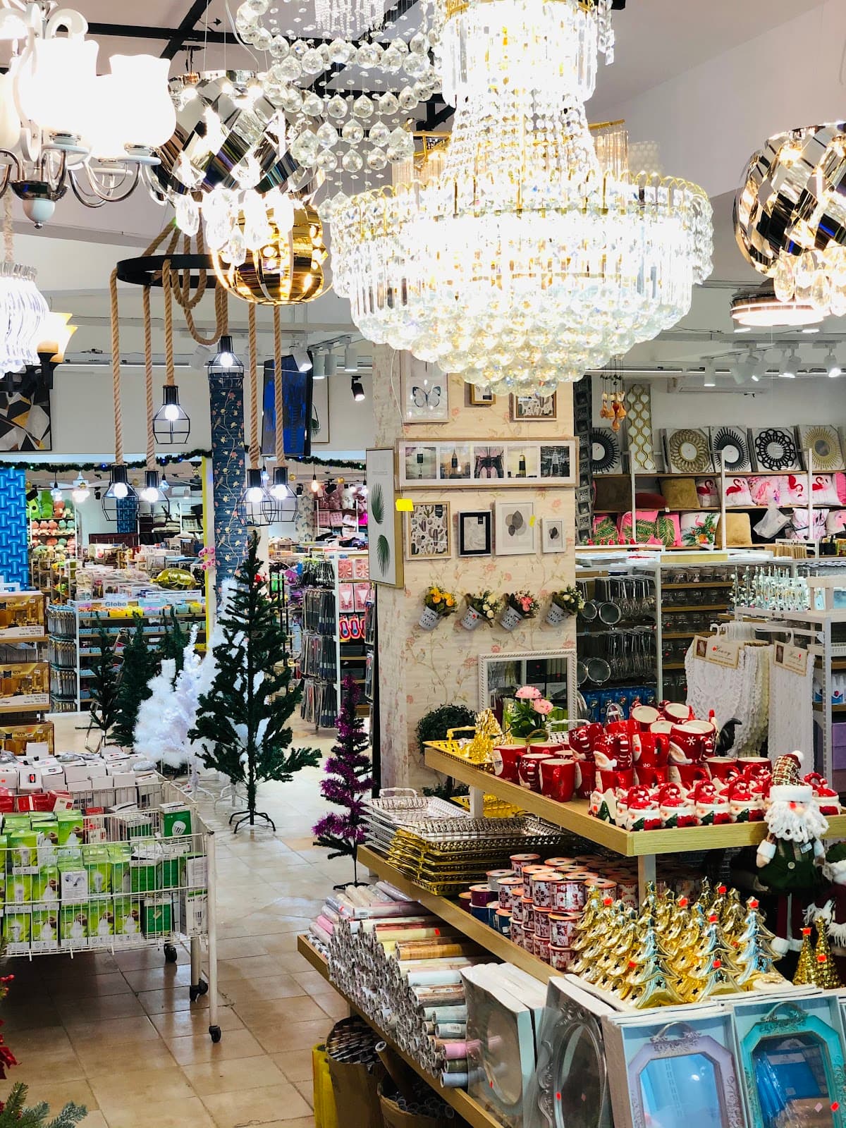 Tienda friusa - Imagen 3