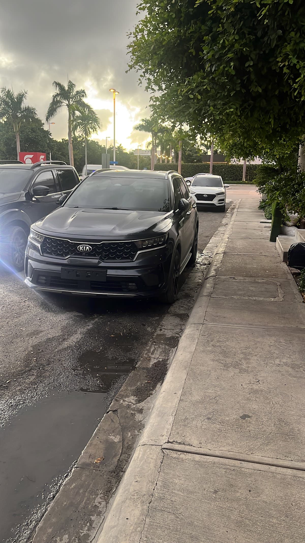 Autodominicana.RENT - Imagen 2